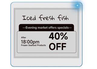 Electronic Shelf Label ds042f 1