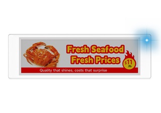 Electronic Shelf Label ds043q 4