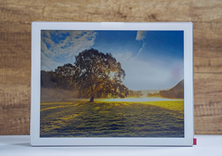 Electronic Shelf Label rs133 2