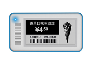 Electronic Shelf Label stag21f 1