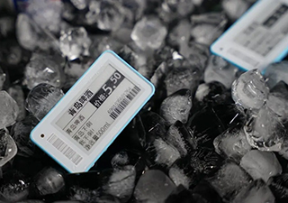 Electronic Shelf Label stag21f 2