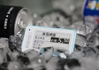 Electronic Shelf Label stag21f 3