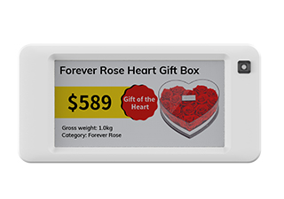 Electronic Shelf Label stag26q 1